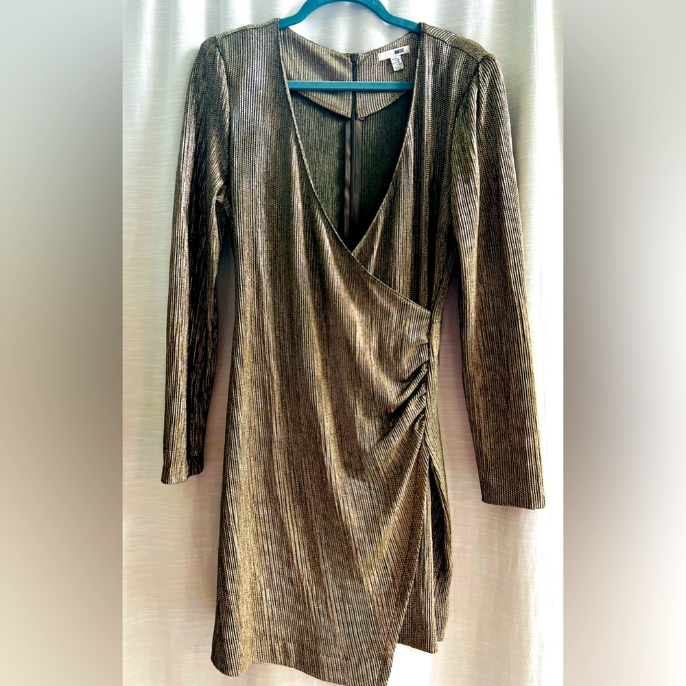 Amuse society dress